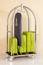 Valiz Taşıma Arabası - Gümüş Rengi