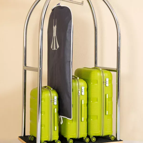 Valiz Taşıma Arabası - Gümüş Rengi