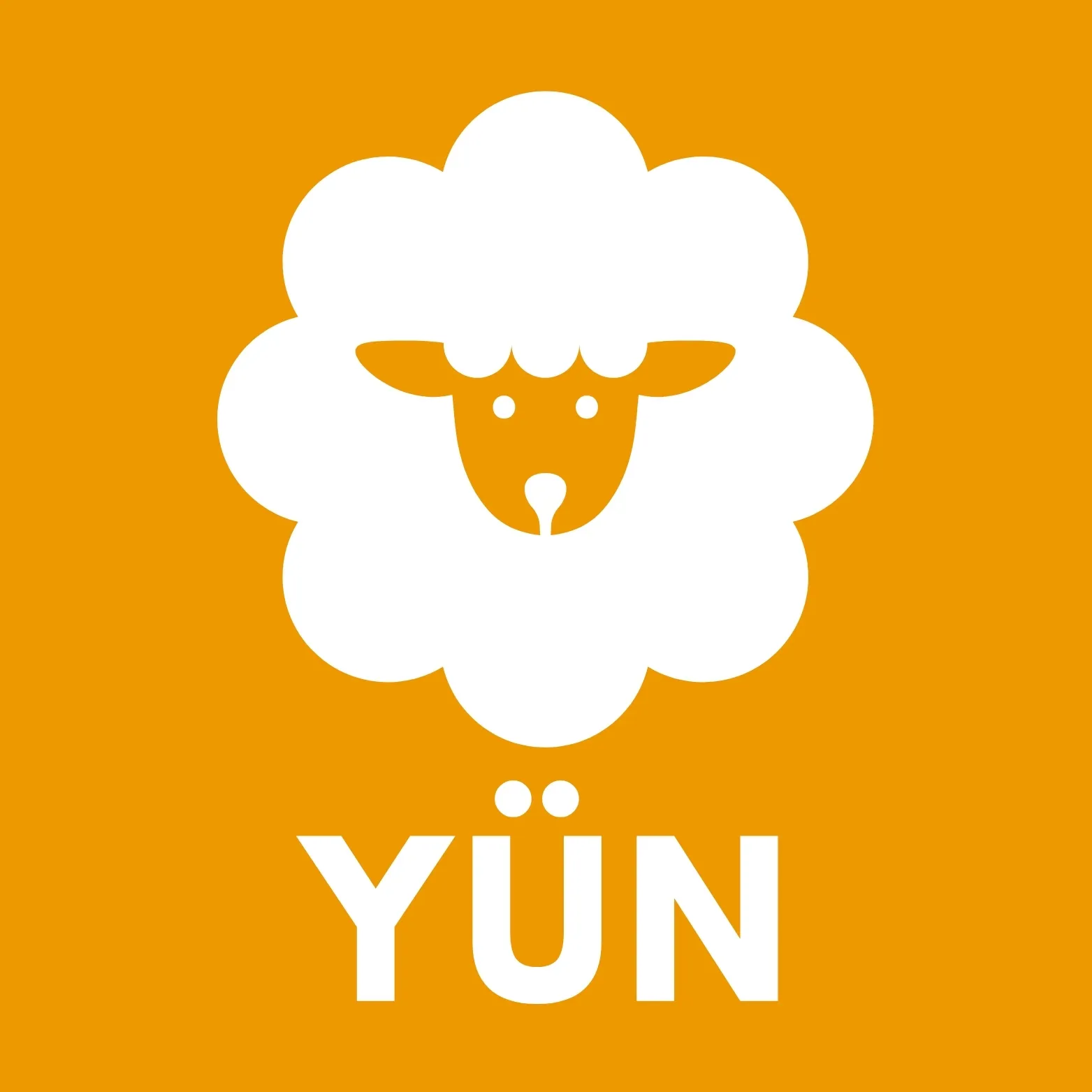 Uyku Pedi (%100 Yün Dolgulu ) Yatak Üstü - Tüm Ebatlar - Görsel 4