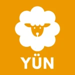 Bebek Yorganı, %100 Yün - Tüm Ebatlar - Görsel 5