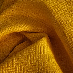 lotus-pike-sari-4